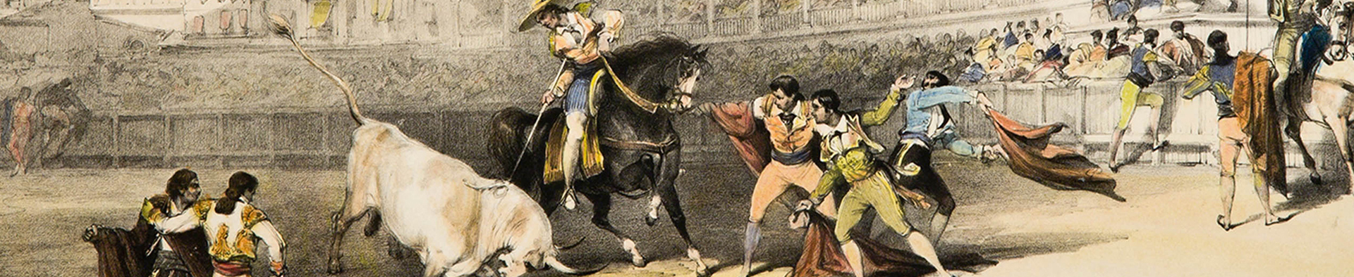 LE TAUREAU DE COMBAT DANS SON HABITAT NATUREL